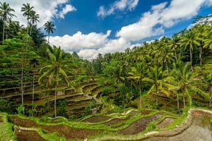 2-Day Trips from Bali