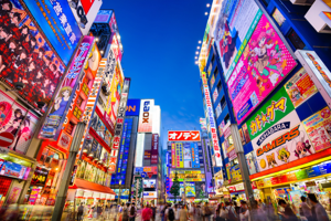 Akihabara: Tours and Guided Visits