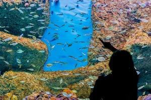 Aquarium of Seville: Tickets