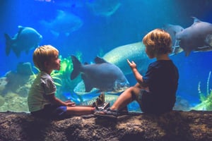 Aquarium of the Pacific: Tickets