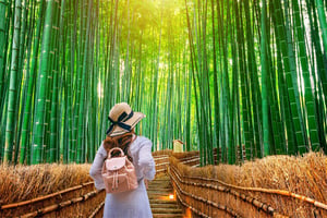 Arashiyama Bamboo Forest: Tours and Guided Visits