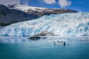 Kenai Fjords National Park: Day Trips and Tours from Seward, Alaska