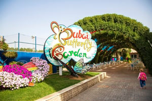 Dubai Butterfly Garden: Tickets