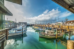 Fisherman's Wharf: Tours and Guided Visits