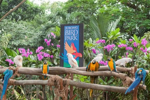 Jurong Bird Park: Tickets