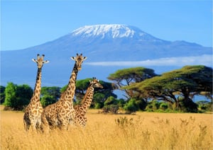 Kilimanjaro: Multi-day Trips and Tours from Nairobi