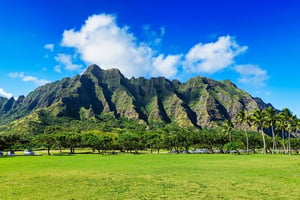 Kualoa Ranch: Tickets