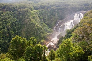 Kuranda Rainforestation Nature Park: Tickets