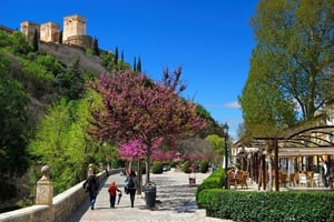 Free Tours en Granada