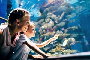 Sea Life Kelly Tarlton's Aquarium: Tickets