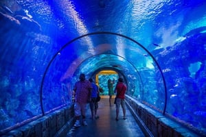 Shark Reef Aquarium: Tickets