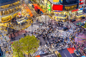 Shibuya: Tours and Guided Visits