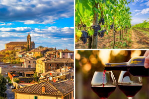 Wine Tours and Tastings in Siena