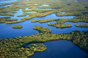 Everglades Park: Day Trips and Tours from Fort Lauderdale