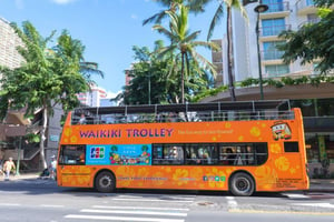 Hop on Hop off Bus Tours in Oahu