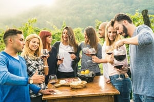 Wine Tours and Tastings in Lake Como