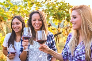 Wine Tours and Tastings in Queenstown