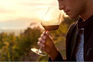 Wine Tours and Tastings in Vancouver