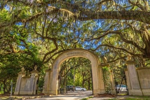 Wormsloe Plantation: Tours and Guided Visits