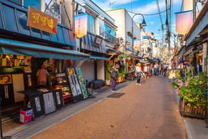 Yanaka: Tours and Guided Visits