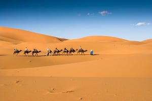 Zagora Desert: Multi-day Trips and Tours from Marrakesh