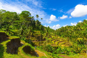 City Tours in Bali