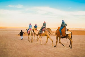 Camel Riding in Fez