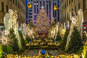 Christmas Lights Tours in New York City