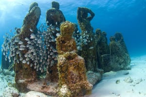 Museo submarino: Entradas y visitas guiadas