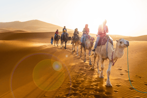 Deserto del Sahara: Escursioni, tour e gite da Agadir