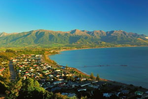 Kaikoura: Escursioni, tour e gite da Christchurch