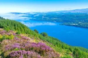 Loch Ness: Escursioni, tour e gite da Edimburgo