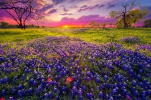 Texas Hill Country: Day Trips and Tours from Austin