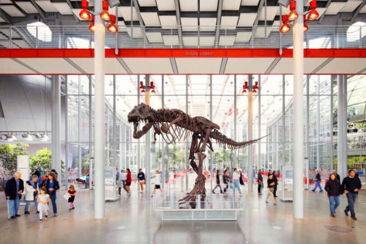 Iconic San Francisco Museums for Your Next Visit, According to ...