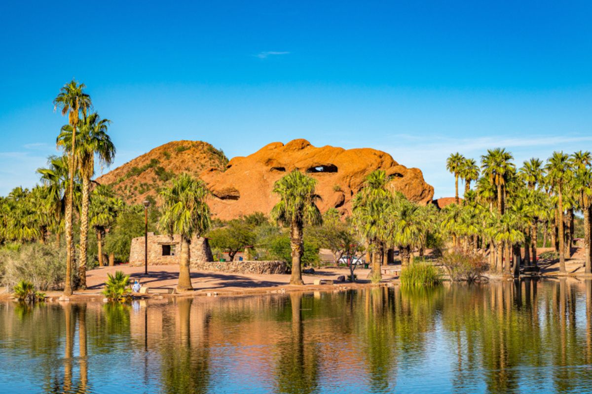 Discover Phoenix: These are the Most Popular Experiences - TourScanner ...